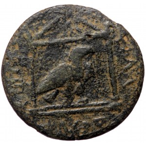 Cilicia, Philadelphia, Trajan (98-117), AE diassarion (Bronze, 22,4 mm, 5,06 g). Obv: ΤΡΑΙΝΟС•KAI•ΓΕΡ•[...], laureate h