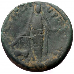 Cilicia, Anemurium, AE tetrassarion (Bronze, 31,0 mm, 11,91 g), pseudo-autonomous issue, 3rd cent.