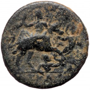 Cilicia, Seleucia ad Calycadnus, Julia Domna (193-217), AE assarion (Bronze, 22,6 mm, 6,36 g).