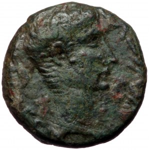 Phoenicia, Berytus AE (Bronze, 20,8 mm, 10,46 g) Augustus (27 BC-AD 14)