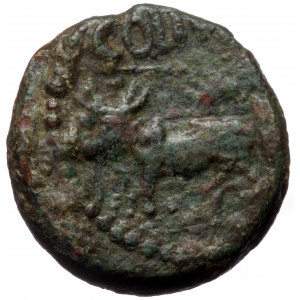 Phoenicia, Berytus AE (Bronze, 20,8 mm, 10,46 g) Augustus (27 BC-AD 14)