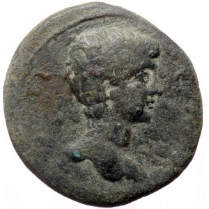 Pontus, Neocaesarea, Geta as caesar (198-209), AE tetrassarion (Bronze, 29,5 mm, 16,51 g), CY 146 = 209/10.