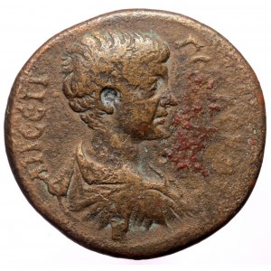 Pontus, Neocaesarea, Geta as caesar (198-209), AE tetrassarion (Bronze, 31,2 mm, 16,34 g), CY 146 = 209/10.