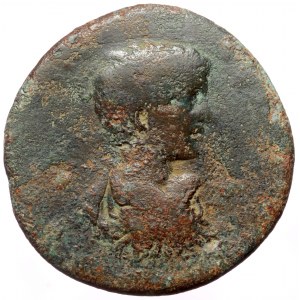 Pontus, Neocaesarea, Geta as caesar (198-209), AE tetrassarion (Bronze, 30,1 mm, 13,20 g), CY 146 = 209/10.