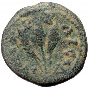 Cappadocia, Caesarea-Eusebia, Severus Alexander (222-235), AE (Bronze, 20,0 mm, 6,01 g). Obv: ΑΥ Κ ϹЄΟΥ ΑΛЄΞΑΝ, laureat