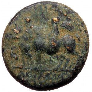 Kings of Commagene, Epiphanes and Callinicus, sons of Antiochos IV, AE (bronze, 7,53 g, 22 mm) 72 AD