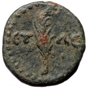 Armenia (?), uncertain mint, Trajan (98-117), AE (Bronze, 17,8 mm, 4,79 g), 105/6. Obv: [ΑΥ ΝЄΡΒΑ] ΤΡΑΙΑNωC [Κ]Α[ΙC], l