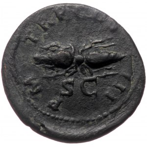 Hadrian (117-138) AE Quadrans (Bronze 3,89g 19mm) Rome,128-129