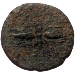 Hadrian (117-138) AE Quadrans (Bronze 2,61g 17mm) Rome,128-129