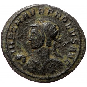 Probus (276-282), AE antoninianus (Bronze, 24,3 mm, 2,85 g). Obv: IMP C M AVR PROBVS P F AVG, radiate, helmeted and cui