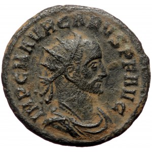 Carus (282-283), AE antoninianus (Bronze, 22,7 mm, 4,10 g). Obv: IMP C M AVR CARVS P F AVG, radiate, draped and cuirass
