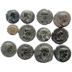 12 Roman bronze coins (Bronze, 33.23g)