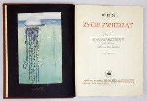BREHM [Alfred Edmund] - Życie zwierząt. Przekład polski w oprac. G. Dehnela, J. Domaniewskiego [i in.]....