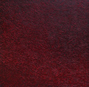 Piotr Zemsta (ur. 1974, Ostrowiec Świętokrzyski), Red Night/Czerwona Noc, 2014 r.