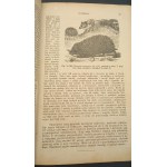 Zoologia obrazowa dla klas niższych szkół średnich M. Nowicki 1876 ilustrowane