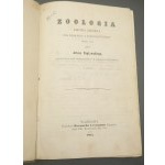 Zoologia Krótko zebrana dla szkolnego i domowego użytku obojej płci przez Artura Popławskiego Rok 1865