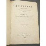 Zoologie Kurzgefasst für den Schul- und Hausgebrauch beider Geschlechter von Artur Poplawski Jahr 1865