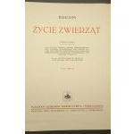 Tierleben Brehm Polnische Übersetzung herausgegeben von Dr. G. Dehnel, J. Domaniewski und andere