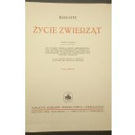 Życie zwierząt Brehm Przekład polski w opracowaniu Dra G. Dehnela, J. Domaniewskiego i innych