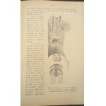 Aus unserer Natur Bilder aus dem Leben der Haustiere und Pflanzen B. Dyakowski Jahr 1903