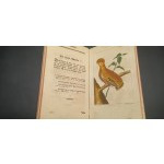 Natural History of Birds Georges Louis Leclerc Year 1787 and 1788 Volume 13 and 14 Beautiful engravings!