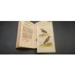 Natural History of Birds Georges Louis Leclerc Year 1787 and 1788 Volume 13 and 14 Beautiful engravings!