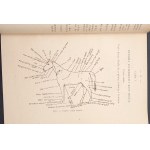 Horse and care of it Veterinarian's manual Year 1946 Beautiful condition!