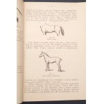 Das Pferd und seine Pflege Handbuch des Tierarztes Jahr 1946 Schöner Zustand!