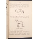 Horse and care of it Veterinarian's manual Year 1946 Beautiful condition!