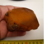 Natural Baltic Amber 152 gr.