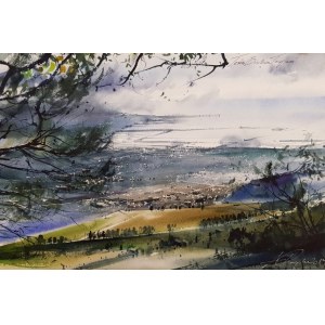 Adam Papke, Landscape