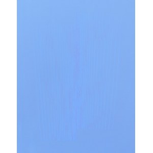 Olga Ząbroń (b. 1985, Kraków), Untitled, 2017.