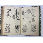 Verdmon-Jacques Leonard de, Plant Cure: Vydanie: 1050 osvedčených tipov a rád, ako vyliečiť 150 chorôb pomocou byliniek a domácich prostriedkov, s pridanými opismi národných liečivých bylín