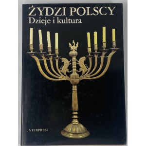 Żydzi Polscy. Dzieje i kultura