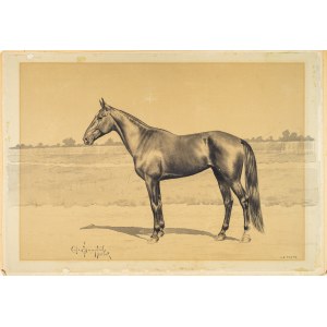 Bauer L. F. (XiX/XX wiek), Piękny koń