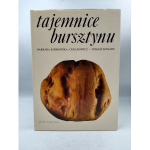 Kosmowska B. i inni - Tejenice bursztynu - Warszawa 1989