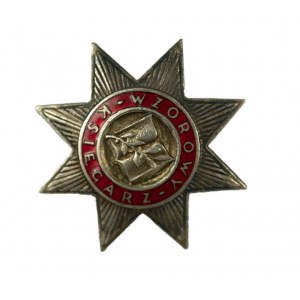Odznaka WZOROWY KSIĘGARZ, wzór 1954, RZADKIE