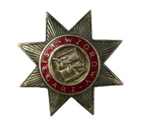 Odznaka WZOROWY KSIĘGARZ, wzór 1954, RZADKIE