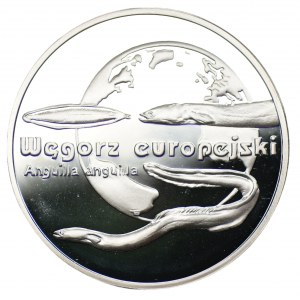 20 złotych 2003 - Węgorz Europejski + folder emisyjny