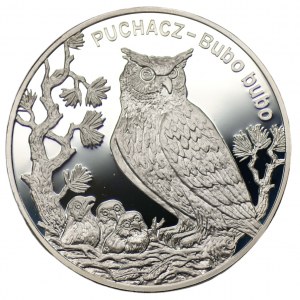 20 złotych 2005 - Puchacz + folder emisyjny