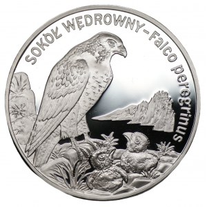 20 złotych 2008 Sokół Wędrowny