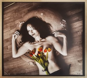 Sara Saudkova (ur.1967), Tulips