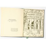 Stefan Żeromski [Maurycy Zych] Echa leśne [1. Auflage, 1905].