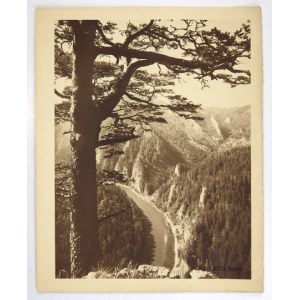 [GÓRY - Pieniny - widok z Sokolicy na pętlę Dunajca - fotografia widokowa]. [l. 30. XX w.]. Fotografia form....