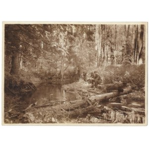 [Bialowieza-Wald - am Fluss - Situationsaufnahme]. [Ende 1920er Jahre]. Form der Fotografie. 12,7x17,...
