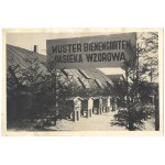 [RZESZÓW - Agricultural Exhibition during the Occupation - situational photographs]. [l. 1940s]....