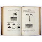 FIGUIER Ludwig - História rastlín. Dielo zdobené 415 obrázkami z prírody made....