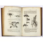 FIGUIER Ludwig - História rastlín. Dielo zdobené 415 obrázkami z prírody made....