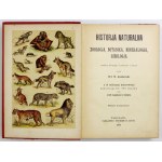 KOZŁOWSKI Wł[adysław] M[ieczysław] - Historja naturalna. Zoology, botany, mineralogy,...