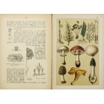 KOZŁOWSKI Wł[adysław] M[ieczysław] - Historja naturalna. Zoology, botany, mineralogy,...